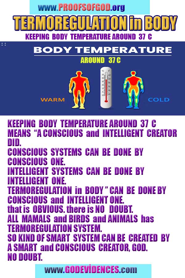 Resim 12